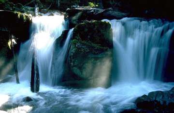 Mayim Hayim is Hebrew for Living Water 