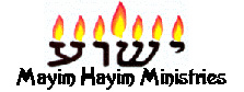 MHM Lamp Logo