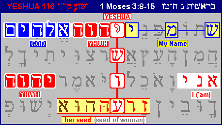 Yeshua - Seed of the Woman